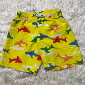Yellow shark trunk