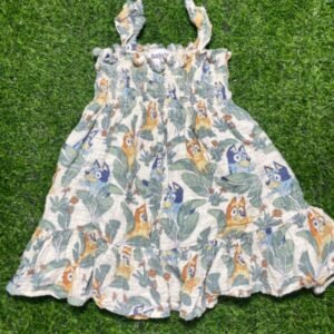 Bluey dress